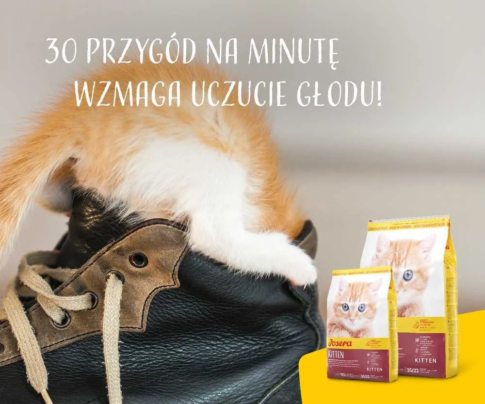 Sausas kačių maistas Josera Kitten, 2kg