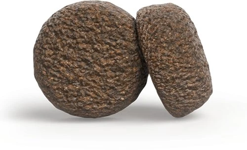 Josera Hypoallergenic begrūdis sausas jautriems pašaras šunims su vabzdžiais, 12,5kg