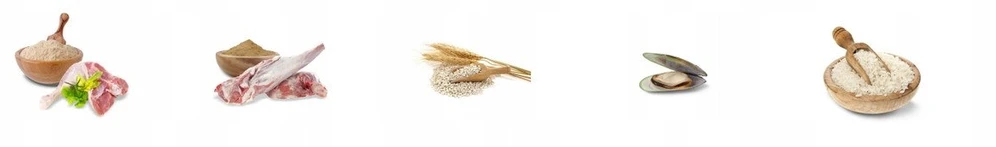 Šunų maistas - JOSERA Adult Optiness Medium and Large Breeds 22% Protein 12% Fat