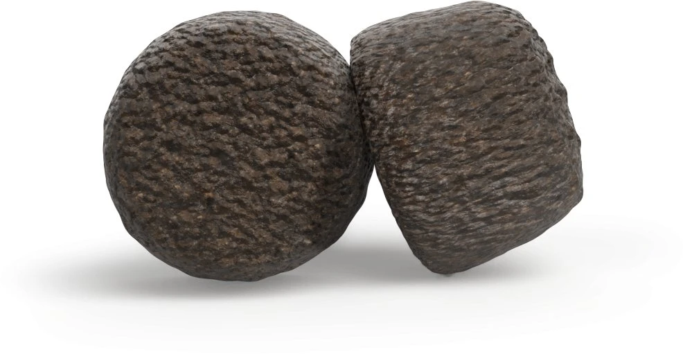 Josera High Protein vištiena sausas pašaras šunims su paukštiena, 12,5kg
