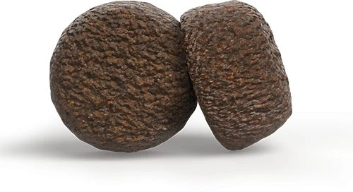 Josera High Protein Junior Sea žuvis sausas pašaras jauniems šunims su žuvim, 12,5kg