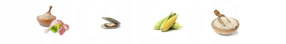 Šunų maistas - JOSERA Kids Medium/Max vištiena Sausas Šunų Maistas 3kg