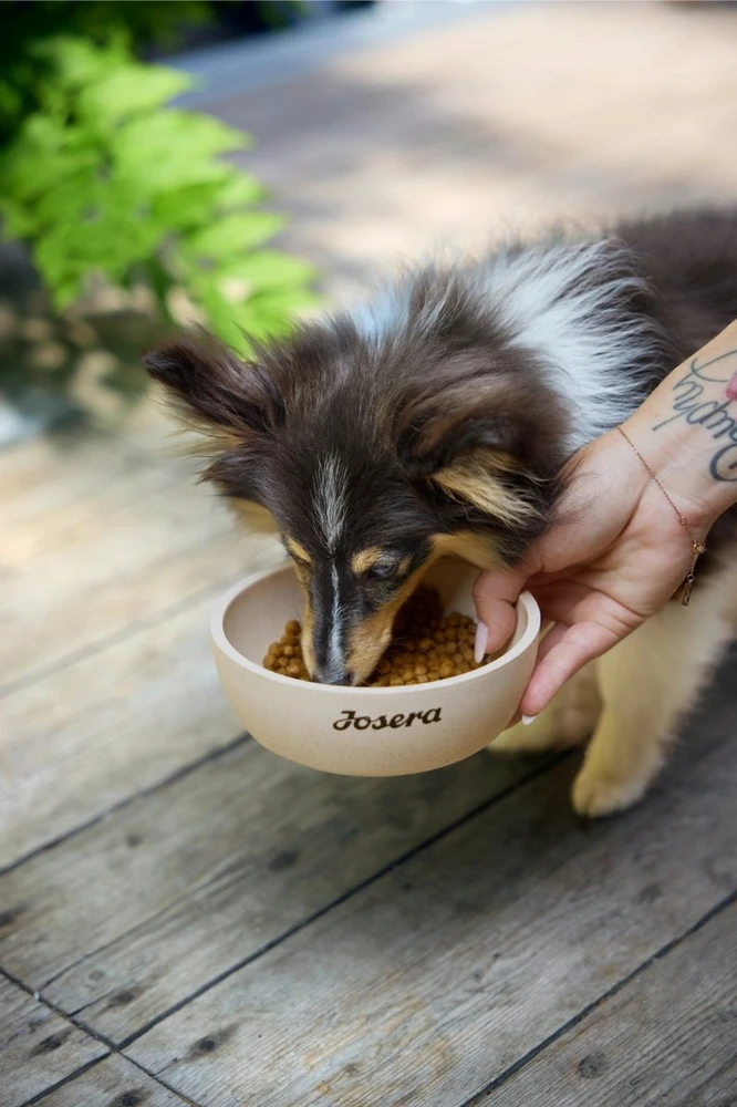 Šunų maistas - JOSERA Mini Senior vištiena ir ryžiai 3kg, be glitimo, 24% baltymų