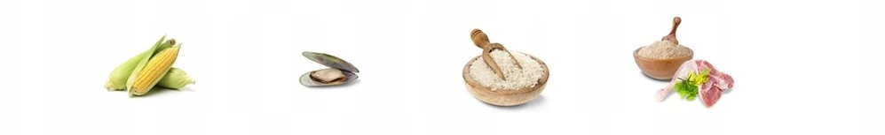 Šunų maistas - JOSERA Senior Balance sausas šunų maistas 3kg be glitimo su vištiena