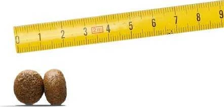 Šunų Maistas - JOSERA YoungStar 12.5kg Be Grūdų Sausas Maistas 25% Baltymų 13% Riebalų
