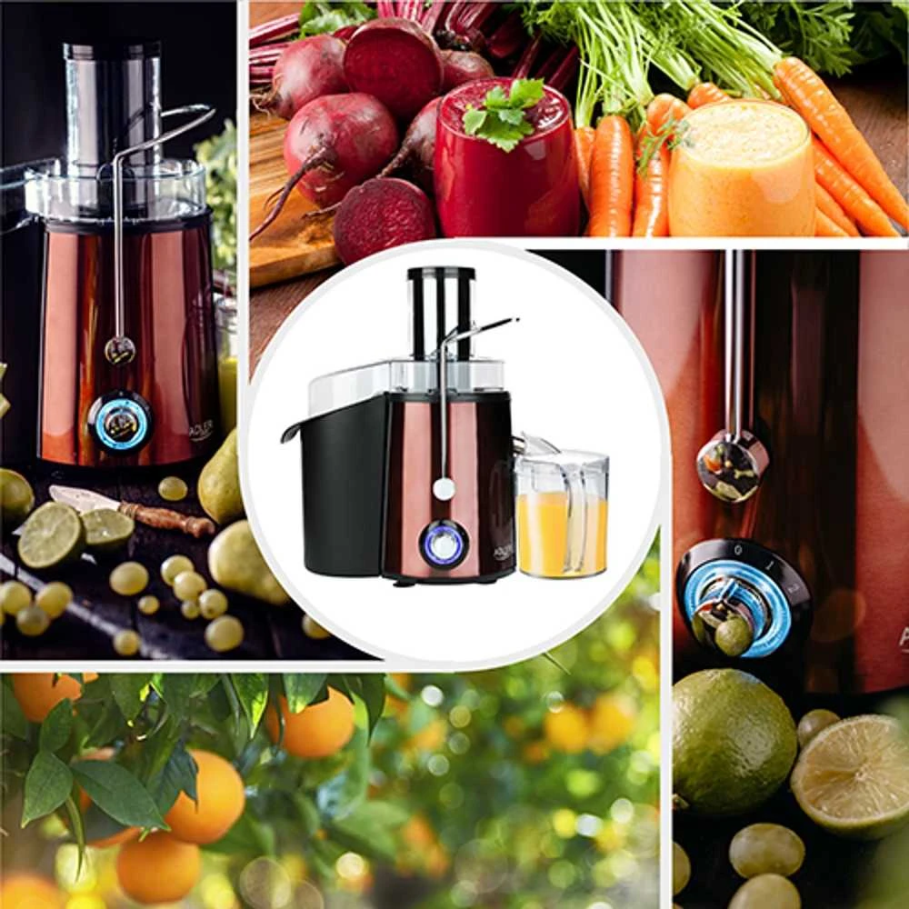 Sulčiaspaudė Adler | Juicer | AD 4129 | Type Juicer maker | Copper | 1000 W | Greičių skaičius 2
