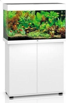 Juwel Akvariumas LED Rio 125 baltos spalvos 125l 81x36x50cm