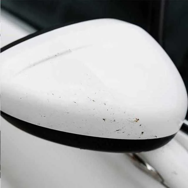 Valymo priemonė nuo vabzdžių K2 Nuta AntiInsect, 1L