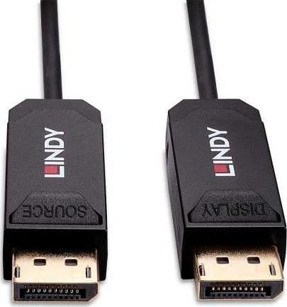 Kabelis Lindy DisplayPort - DisplayPort 10m juodas (38523)