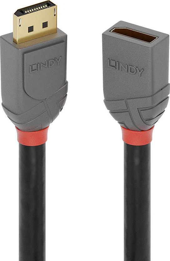 Lindy DisplayPort ilgintuvas su jungtimis