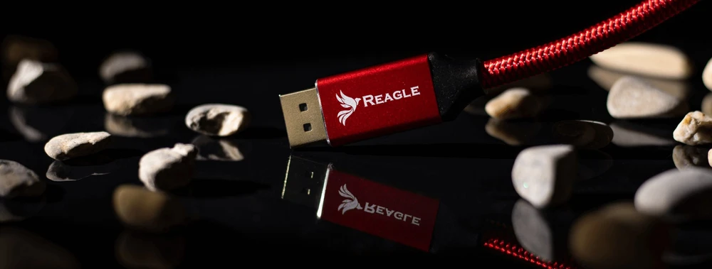 Kabelis Reagle DisplayPort - DisplayPort 5m raudona