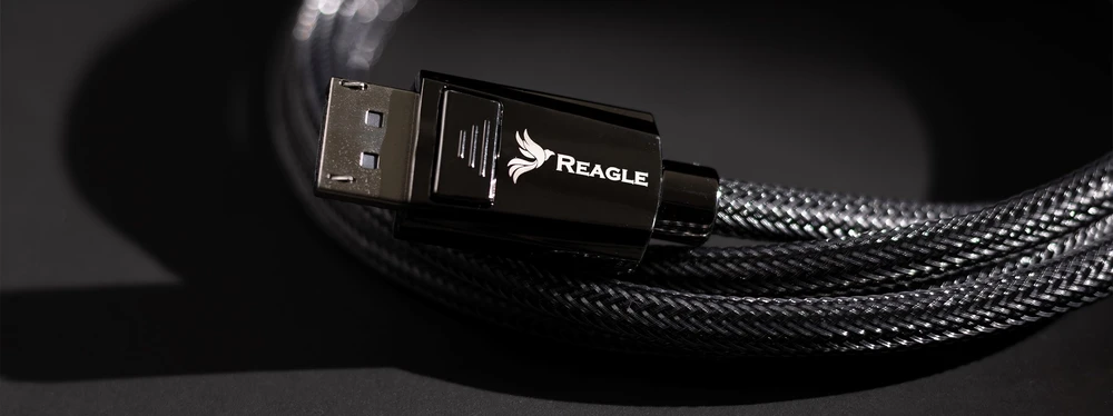 Kabelis Reagle DisplayPort - DisplayPort 3m juodas