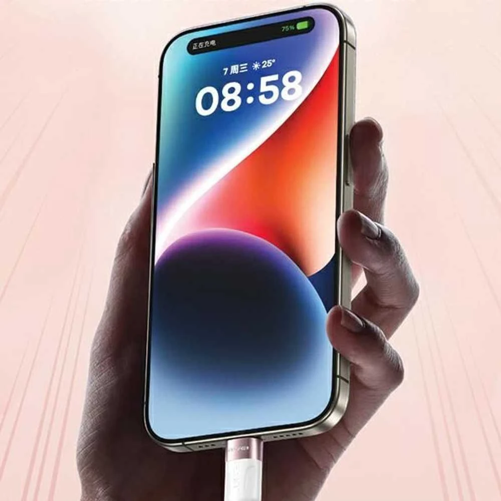 AWEI CL-166T USB-C to USB-C Magnetic Cable juodos spalvos
