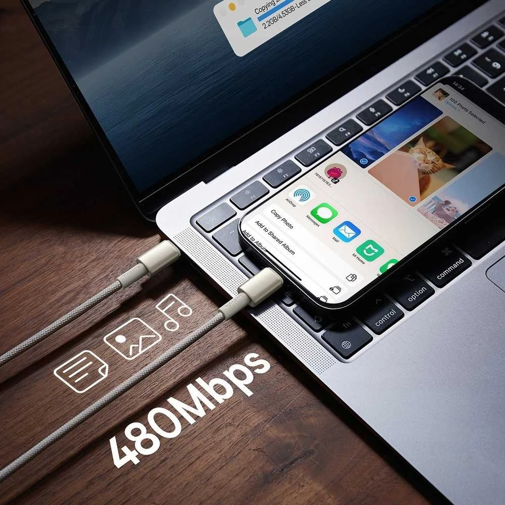 Laidas iš USB-C į USB-C Baseus Tungsten Gold, 100 W, 1 m (auksinis)
