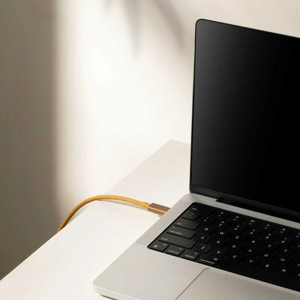 Native Union Belt Cable Pro 240W - kabelis USB-C - USB-C, 2,4 m (kraft)