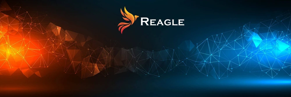 Kabelis USB Reagle USB-C - D-Sub (VGA) 1.8 m Juodas
