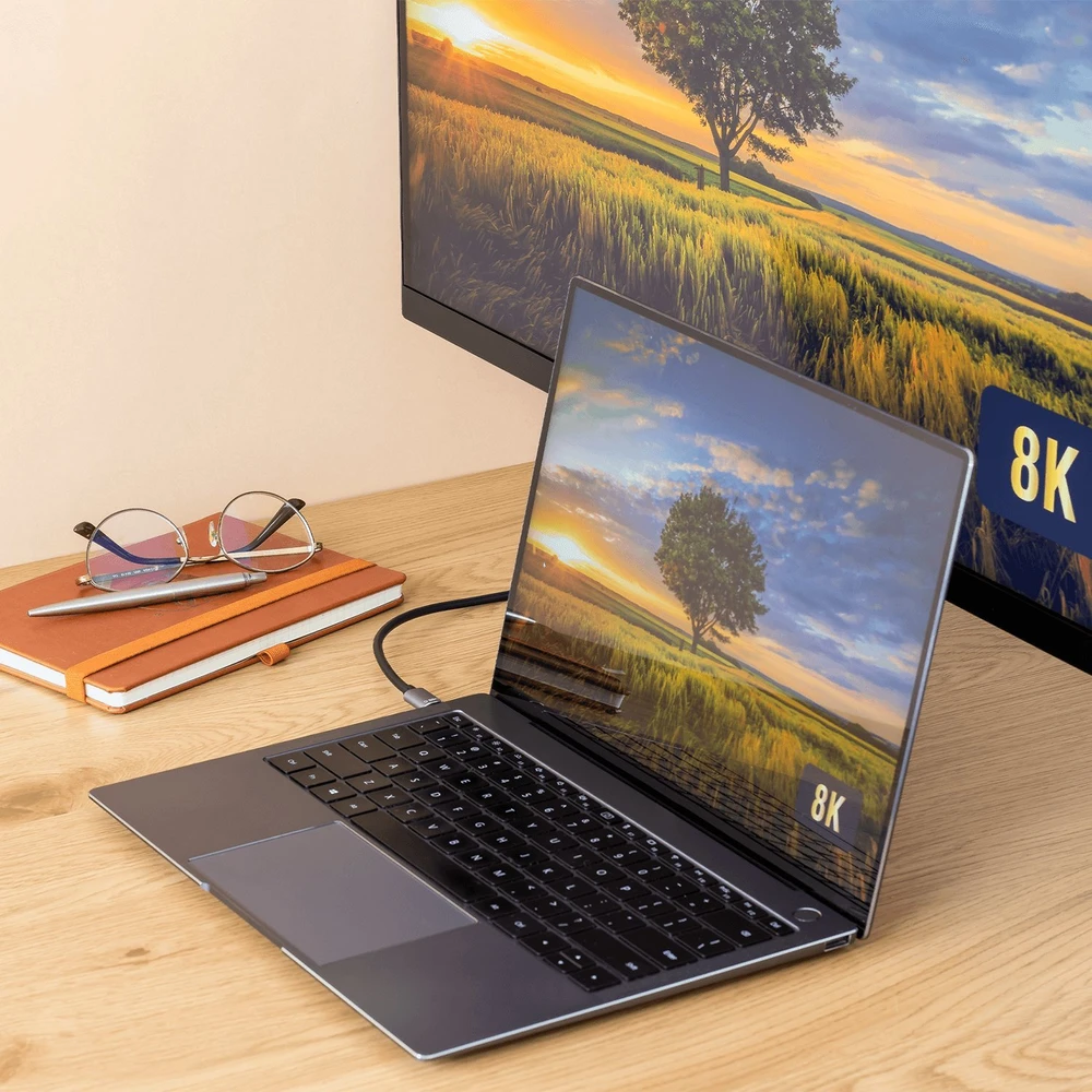 Kabelis USB Reagle USB-C - DisplayPort 1.8 m Juodai-sidabrinė