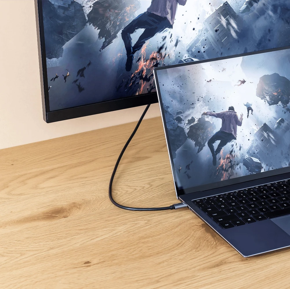 Kabelis USB Reagle USB-C - DisplayPort 1.8 m Juodai-sidabrinė