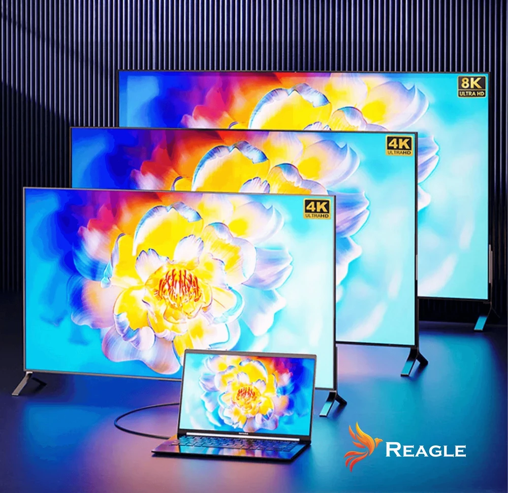 USB laidas Reagle USB-C - USB-C 0,5 m Juodas