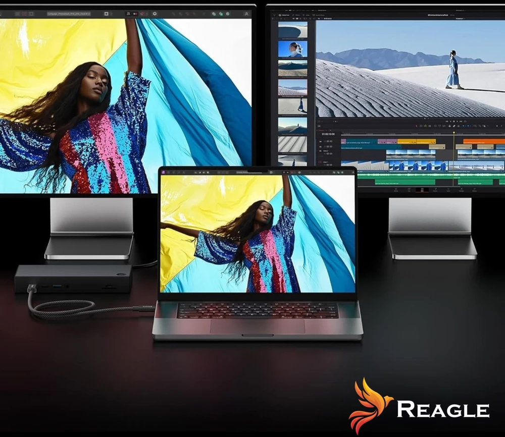 USB laidas Reagle USB-C - USB-C 1 m juodas