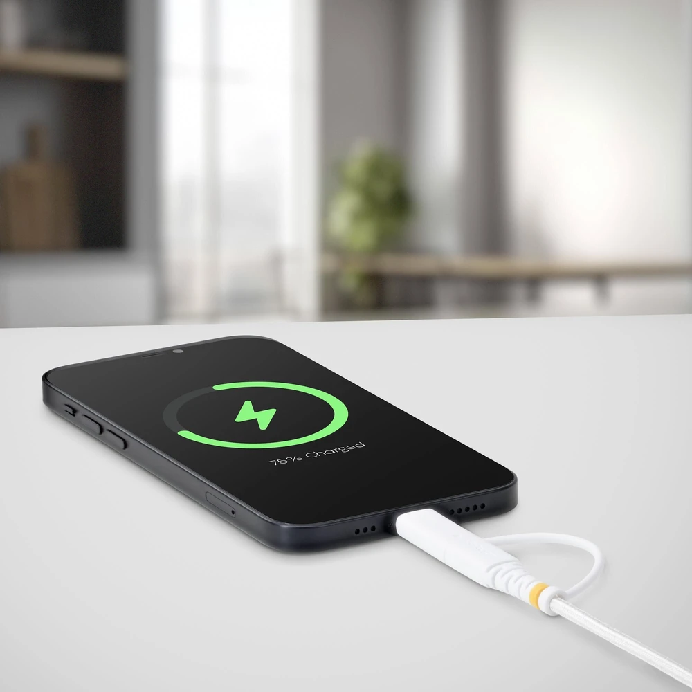 Kabelis USB StarTech 1m USB-C su Lightning 60W Baltas (1M-U2-LNTC-CABLE)