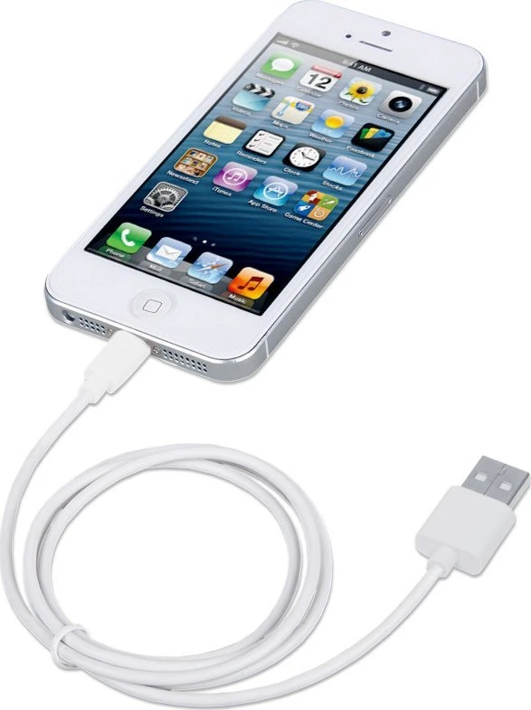 Kabelis USB TECHLY Lightning 1