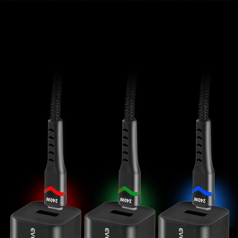USB-C / USB-C LED RGB KABELIS everActive CBB-1PDRS 100cm 48V 5A 240W