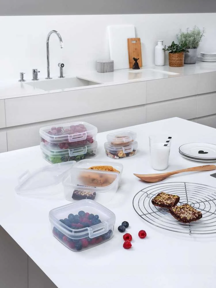 Snap box maisto konteineris 0,25 l CURVER
