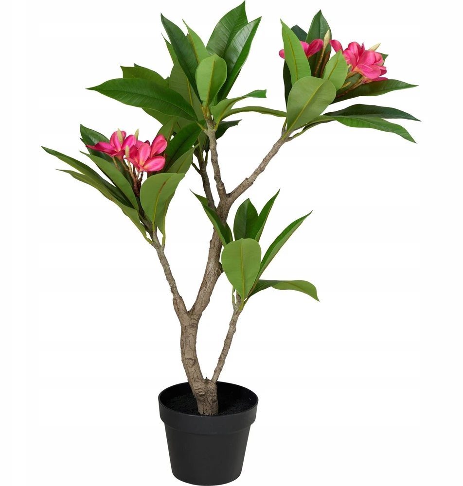 Dirbtinis frangipani medis su rožiniais žiedais