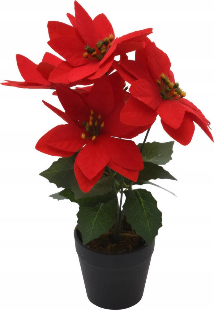Home Styling Collection Betliejaus žvaigždė, dirbtinė gėlė, 29 cm