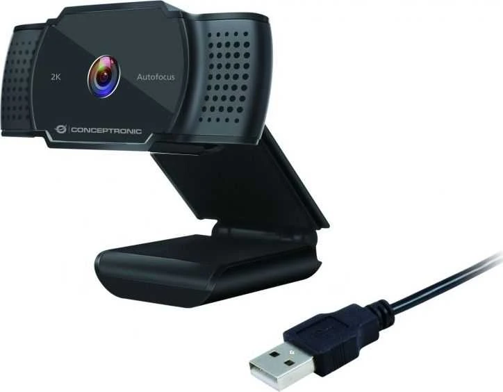 Internetinė kamera Conceptronic AMDIS02B