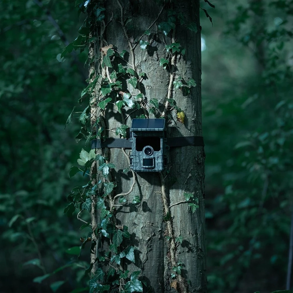 Camouflage EZ-Solar - WiFi - WildcameraXL