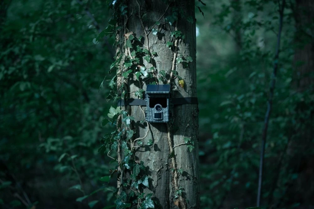 Camouflage EZ-Solar - WiFi - WildcameraXL