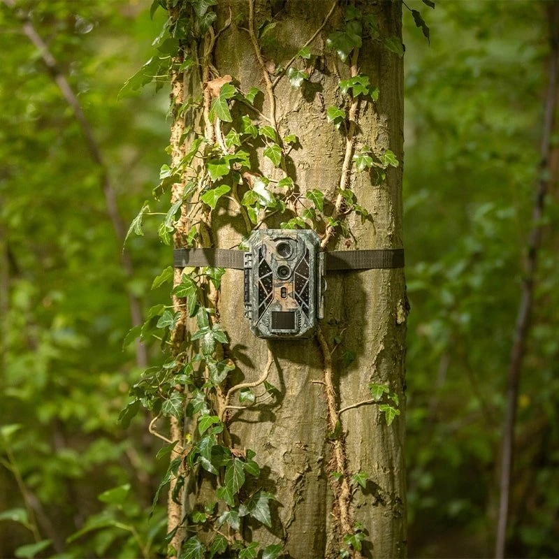 Kameros gaudyklė - Camouflage EZ2 Elite - WildcameraXL