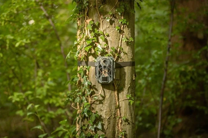 Kameros gaudyklė - Camouflage EZ2 Elite - WildcameraXL