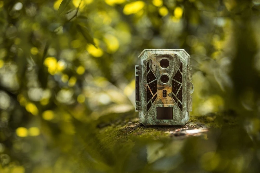 Kameros gaudyklė - Camouflage EZ2 Elite - WildcameraXL