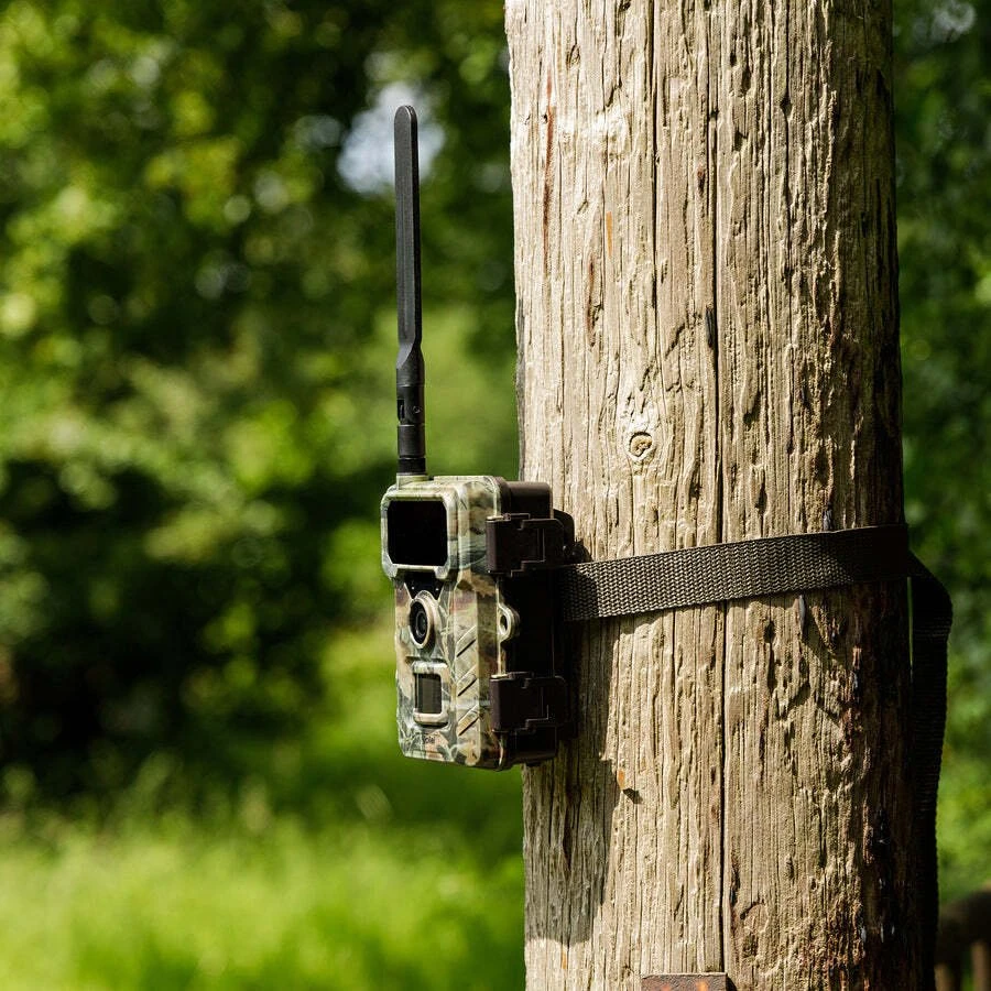 „Rollei“ – laukinės gamtos kamera 4G „SimConnect“