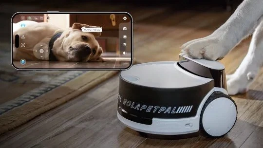 Enabot | Šeimos roboto IP kamera | ROLA PetPal