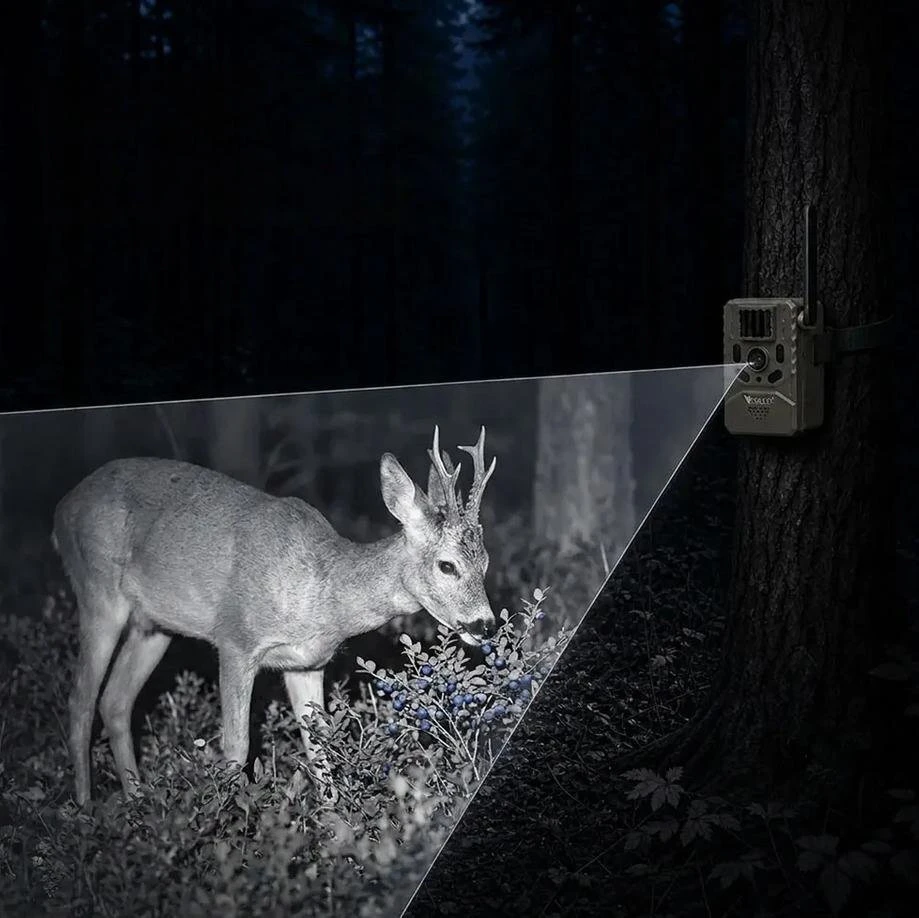 Miško kamera Orllo Huntercam 6 SIM su saulės maitinimu