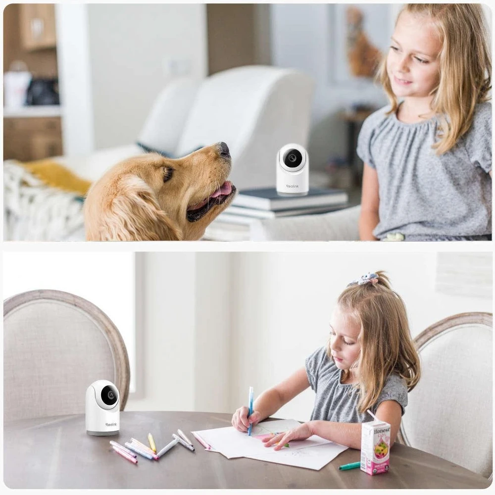 Reolink E Series E321