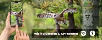 Redleaf T20WF 4K WIFi Stebėjimo Kamera