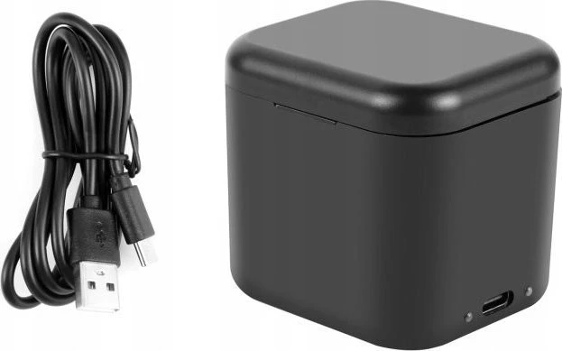 Kameros įkroviklis Puluz USB įkroviklis 2x įkraunamam akumuliatoriui, skirtas Insta360 Insta 360 Ace Pro / Ace / Pu968b