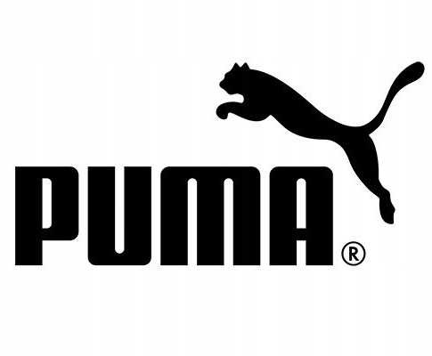 Puma Orbita 3 TB FIFA kokybiškas futbolo kamuolys 084324-01