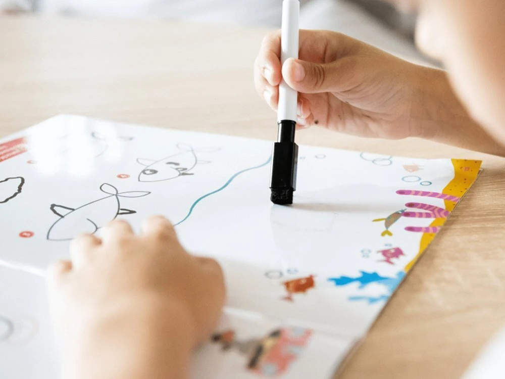 Kapitan Nauka Kapiton Nauka Kapitono Mokslo Doodles Išmokite piešti. Gyvūnai KS1198