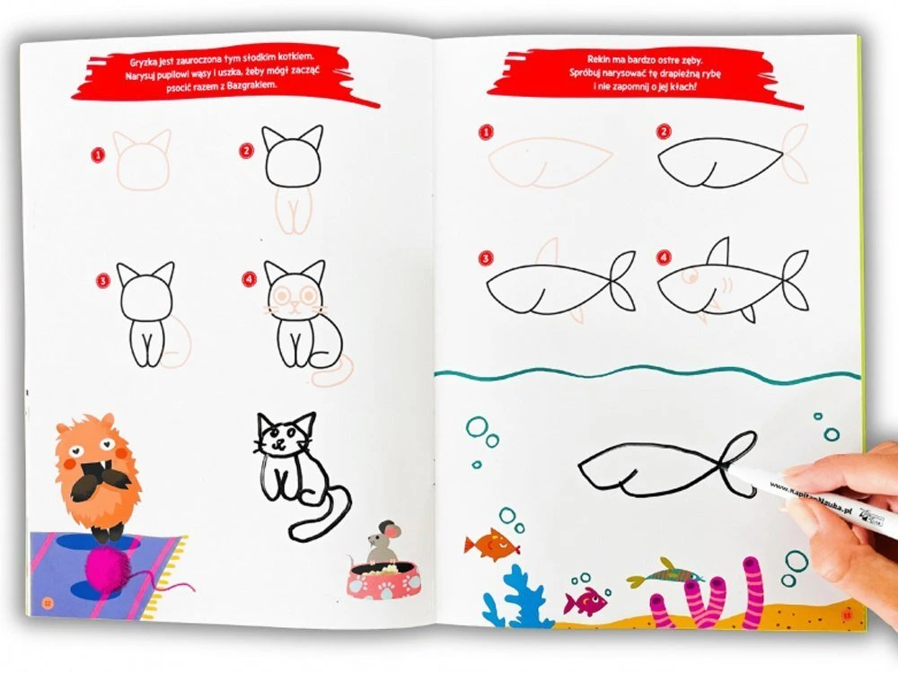 Kapitan Nauka Kapiton Nauka Kapitono Mokslo Doodles Išmokite piešti. Gyvūnai KS1198