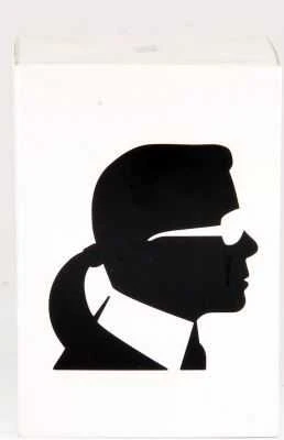 Kvepalai moterims Karl Lagerfeld For Her EDP, 85 ml