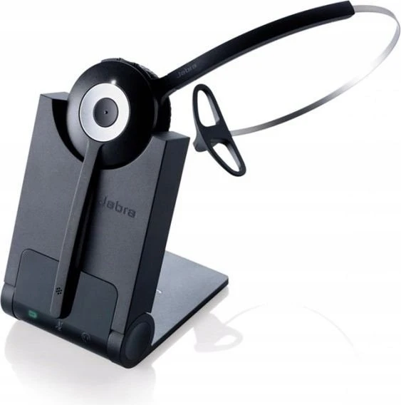 Mitel Carruzzo Integrated DECT controllers monophonic