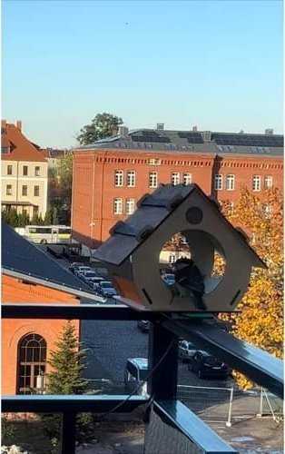 Paukščių lesykla Maaleo 22585