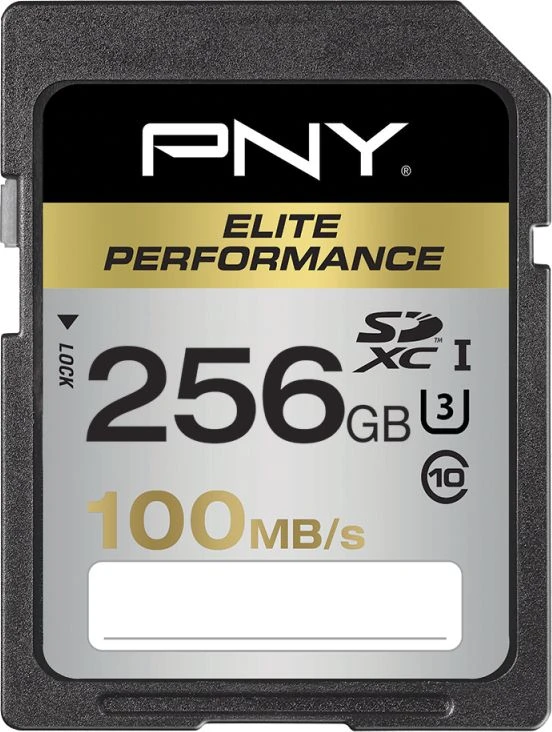 PNY Elite Performance SDXC 256 GB 10 klasės UHS-I/U3 atminties kortelė (SD256ELIPER-EF)