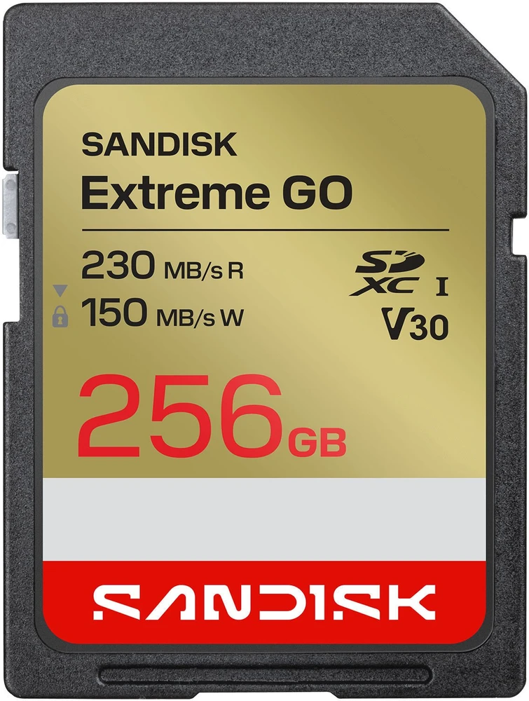 Atminties kortelė SanDisk Extreme GO SD 256GB 230/150 MB/s UHS-I